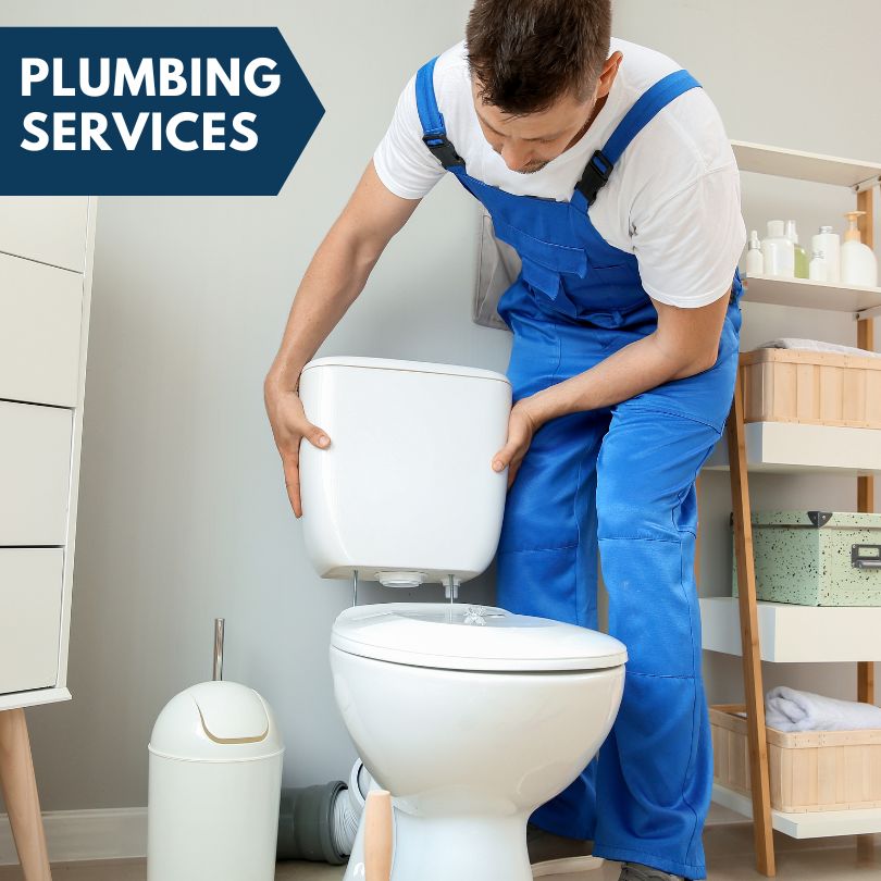 Plumbing Company in Saint Augustine, IL